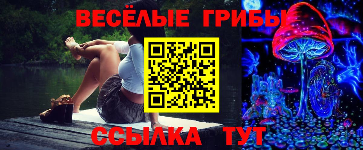 Шебекино  Псилоцибиновые грибы Psilocybe  дарнет шоп  Вход с VPN 